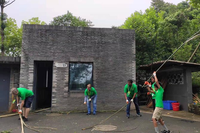 Private Dujiangyan Panda Base Panda Rescue Center Volunteer for a Day - Walking the Grounds and the Volunteer Service Area