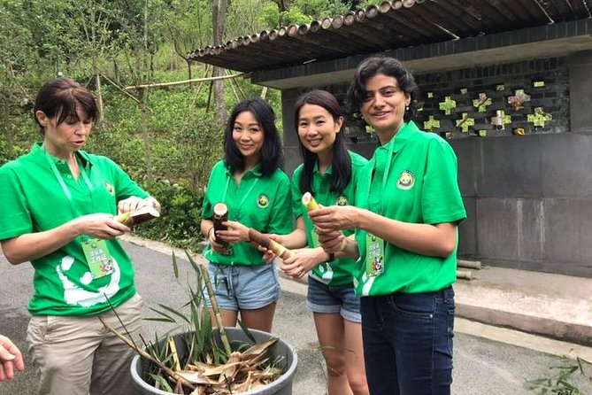 Private Dujiangyan Panda Base Panda Rescue Center Volunteer for a Day - From Chengdu to the Panda Base: The Drive and the Mountain Shuttle
