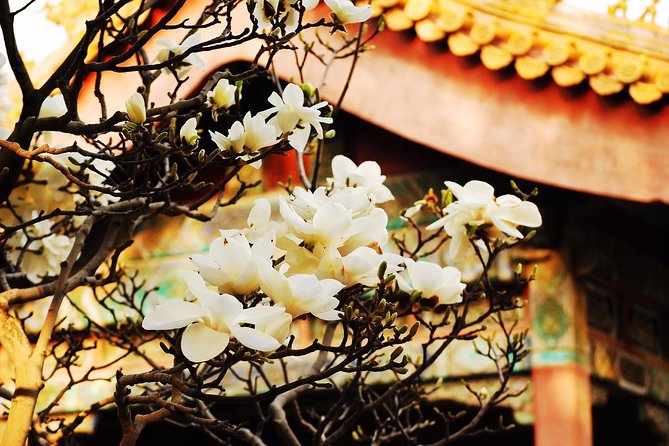 Private Flexible Beijing City In-Depth Walking Tour w/ Your Fancy - Tiananmen Square with your guide in the driver seat
