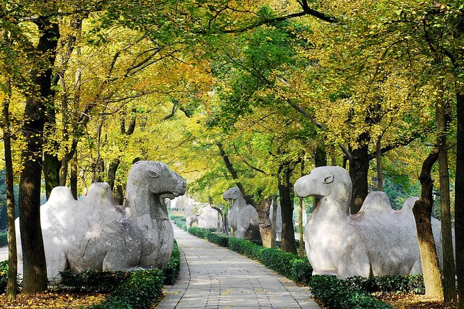Private Flexible Nanjing City Day Trip from Shanghai by Bullet Train - Sun Yat-sen Mausoleum, Zhongshan Ling and the Purple Mountain Walk