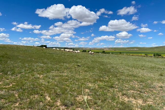 Private Full-Day Tour to Huitengxile Grassland from Hohhot - Huanghua Valley: a shorter stop with a different feel
