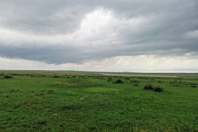 Private Full-Day Tour to Huitengxile Grassland from Hohhot - Lunch and Mongolian singing and dancing: what’s truly included