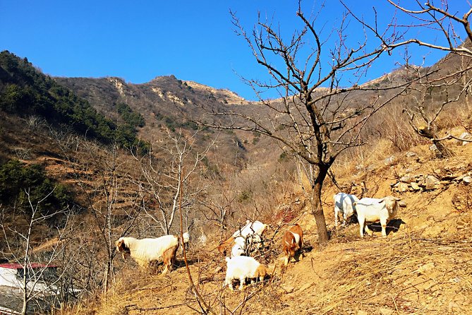 Private Great Wall Hiking Tour: Across The Border of 3 China Provinces - The mountain village lunch: why a real meal matters here