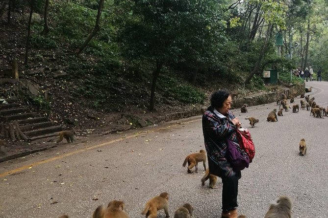 Private Guiyang Day Tour including Qingyan Ancient Town and Qianling Park - How This Private Guiyang Day Tour Feels in Real Life