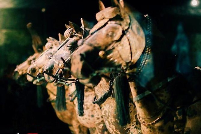 Private Half-Day Tour of Xi'an Terracotta Warriors - Who this private half-day tour suits best
