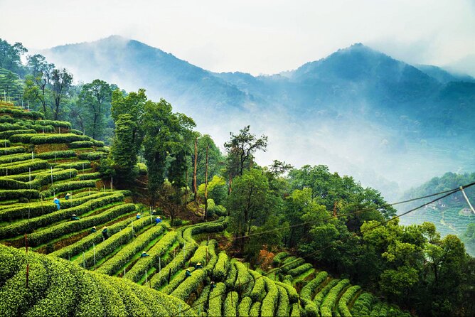 Private Hangzhou Day Tour from Shanghai by Bullet Train - Who This Tour Fits Best (And Who Should Rethink It)