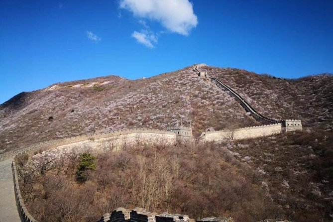Private Layover Tour to Mutianyu Great Wall and Forbidden City - Forbidden City priority access: what makes it worth the effort