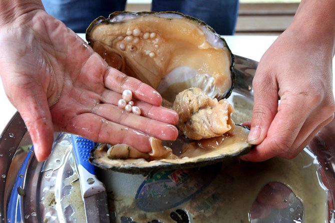 Private Shanghai Shopping Tour with Local Shopping Guru - Hongqiao Pearl Market, souvenirs with real negotiation value