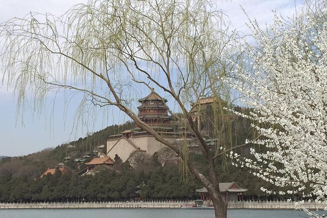 Private Summer Palace Walking Tour + Custom Scenic Route Add-Ons - The Human Part: Guides, Ticket Help, and Real-World Tips