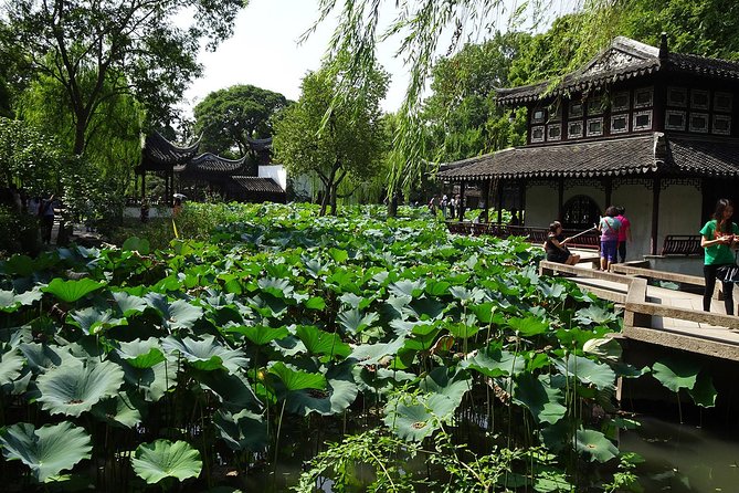 Private Suzhou Day Tour from Shanghai to Classical Gardens and Tongli Water Town - Why private guiding feels different in Suzhou