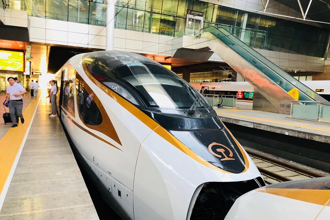 Private Tianjin Port Departure Transfer from Beijing by Bullet Train Experience - Key things I’d bet on