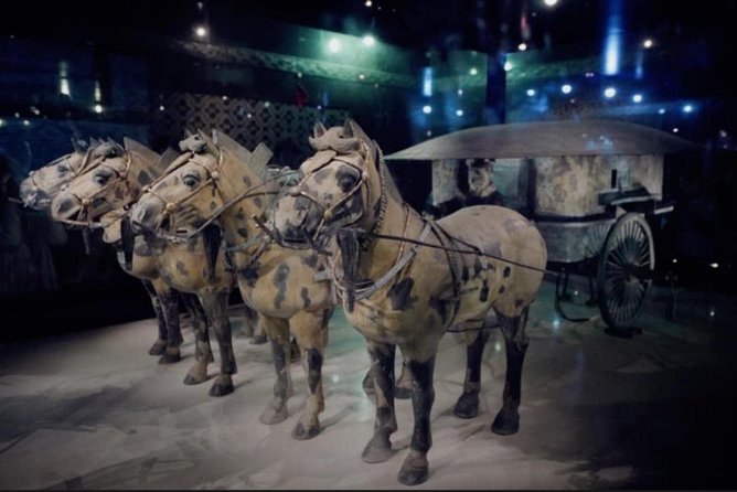 Private Tour Guide or Transfer for Terracotta Warriors and Xi'an - Who should book this private Terracotta Warriors and Xi’an tour?