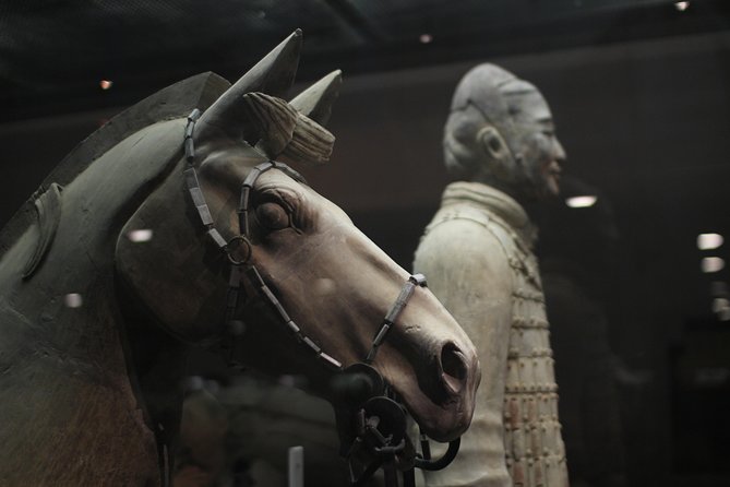 Private Tour: Terracotta Warriors& Foodie Tour and Seal Carving - Terracotta Warriors first, because it sets the whole tone