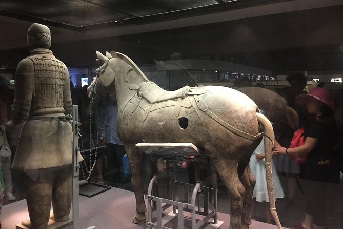 Private Tour: Terracotta Warriors& Foodie Tour and Seal Carving - Logistics, timing, and what to pack for an 8-hour hit list