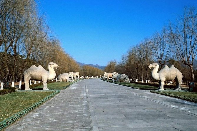Private Tour to Mutianyu Great Wall and Ming Tombs - How the Guide Helps on Mutianyu (Not Just “Telling Stories”)