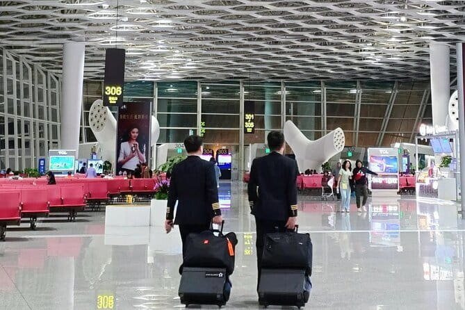 Private Transfer in Shenzhen with English Service - Mazda 3 vs Toyota Alphard, and What That Means for Your Group