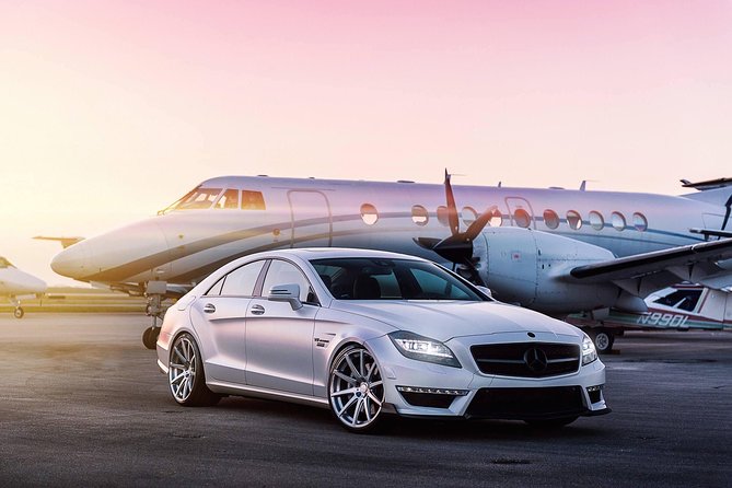 Private Transfer to Pudong or Hongqiao Airport from Shanghai Cruise Port - Accessibility and Comfort, Without Extra Hassle