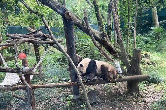 Private Zhujiajiao Water Town Tour with Shanghai Zoo and Panda - Shanghai Zoo: How You Get 2.5 Hours for Giant Pandas
