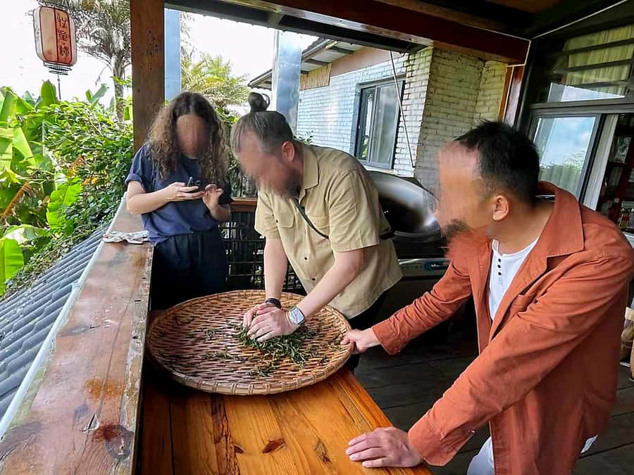 Puer Tea Picking and Tasting | 6 Hour Morning Trip - Key Highlights Worth Your Morning