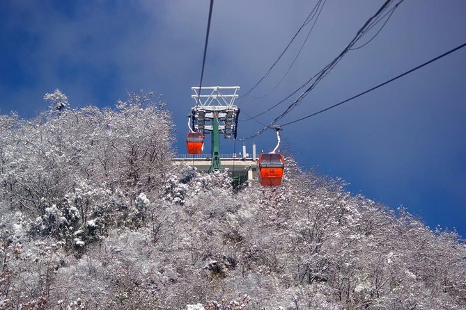 Qingdao Private Day Trip to Mutianyu Great Wall with Cable Car or Toboggan Ride - Who this Qingdao to Mutianyu day trip fits best