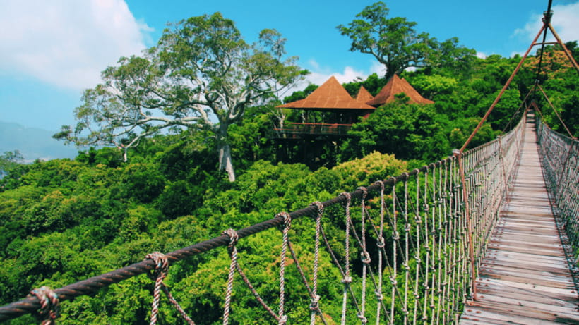 Sanya: Yalong Bay Tropical Forest Ticket and Tour Car - Key Highlights You Should Circle First