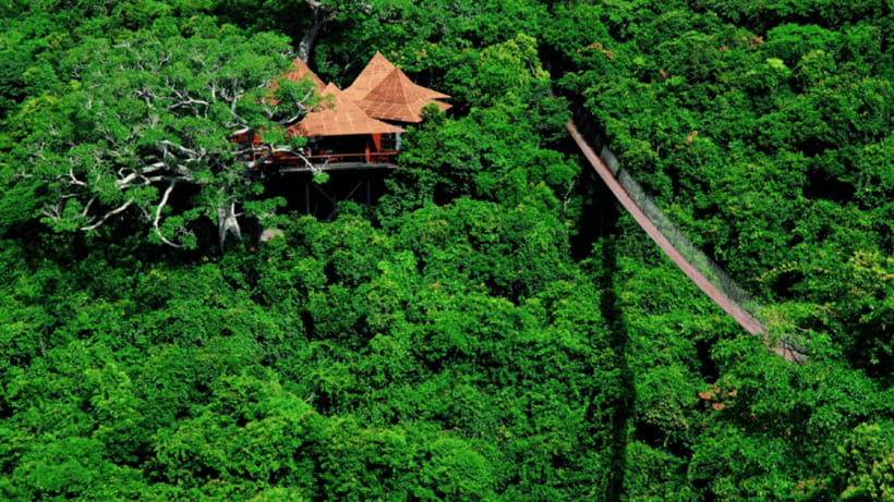 Sanya: Yalong Bay Tropical Forest Ticket and Tour Car - Rainforest Hiking Trails: Where the Adventure Actually Lives