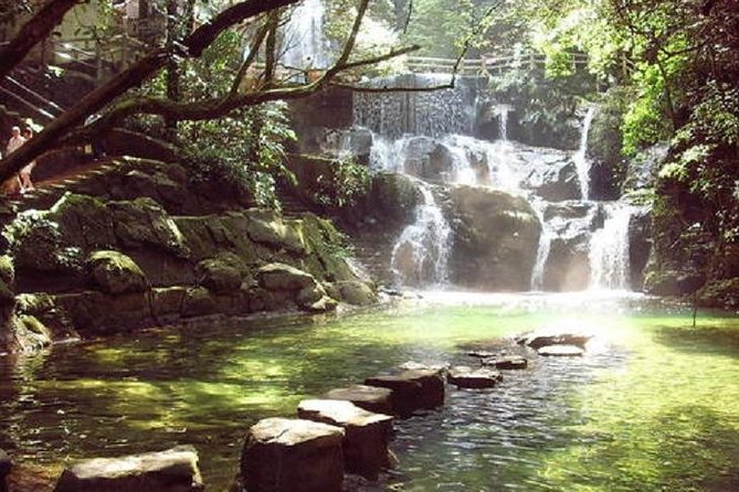Seven Star Crag and Dinghu Mountain private day tour from Guangzhou - Xinghu Lake of Zhaoqing: Wrap-Up Views and a Good Ending Rhythm
