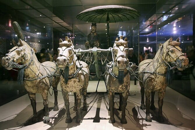 Shaanxi History Museum Qin-Han Branch English guide service - How the English Guide Changes the Entire Museum Experience