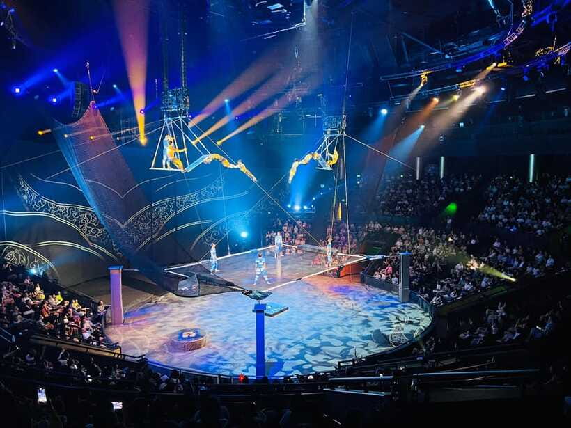 Shanghai: Circus World ERA Theatre Acrobatics Ticket - Should you book the Shanghai ERA Acrobats Theatre ticket?