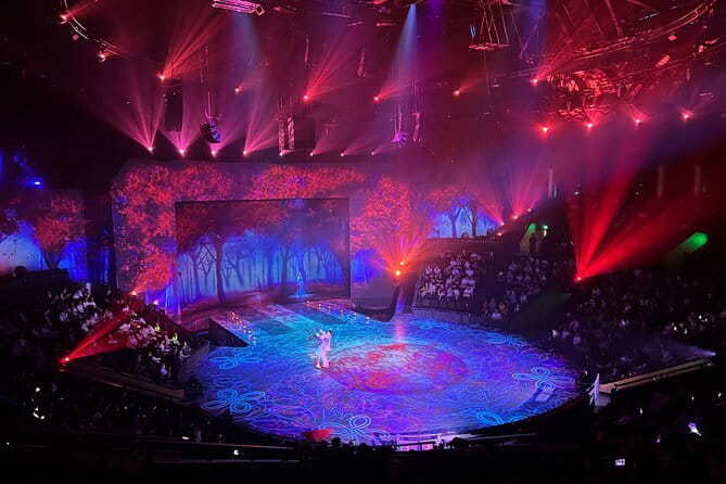 Shanghai Era Theatre Acrobatics Show Ticket - Shanghai ERA Theatre at Shanghai Circus World, the one hour you can plan