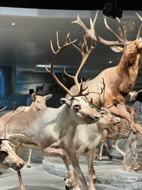 Shanghai: Natural Museum tickets with guide(optional) - Mystery of Origins and The Long River of Life: your opening chapters