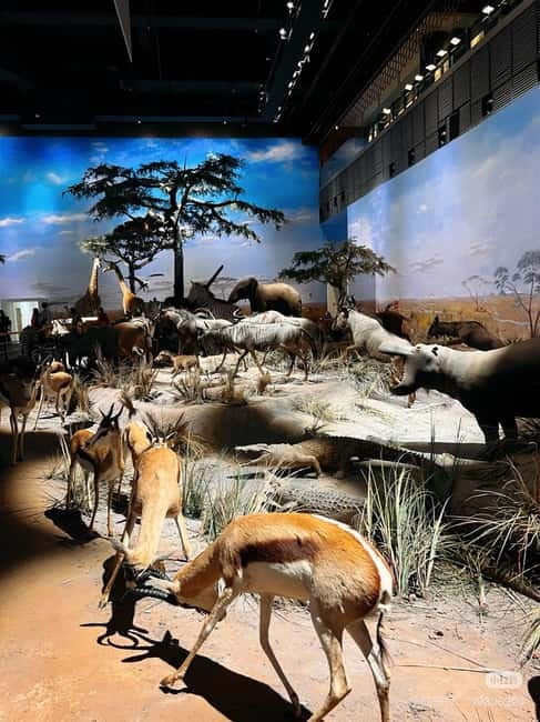 Shanghai: Natural Museum tickets with guide(optional) - Survival Wisdom and the Human and Nature Bond: why it matters to you