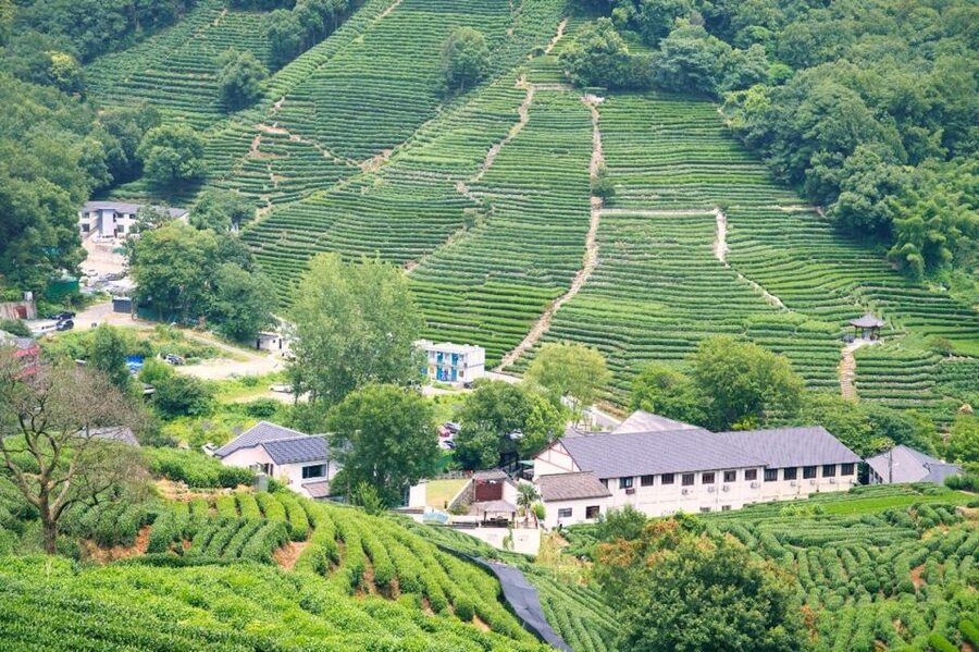 Shanghai: Private Guided Tour to Hangzhou by Bullet Train - Key points to know before you go