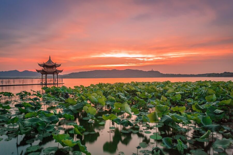 Shanghai: Private Guided Tour to Hangzhou by Bullet Train - Bullet Train Day Trips: Why This Works So Well