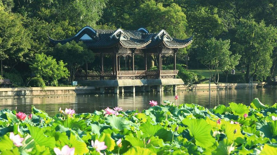 Shanghai: Private Guided Tour to Hangzhou by Bullet Train - West Lake on Foot, Then a 45-Minute Boat Ride