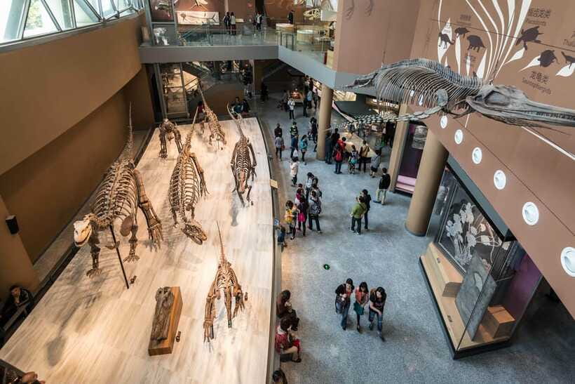 Shanghai: Private Tour of the Shanghai Museum - Price and value: is $60 per person fair for this format?