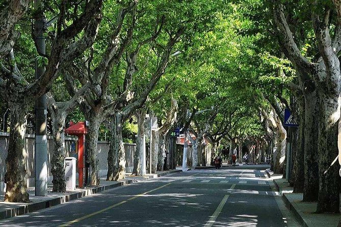 Shanghai Propaganda and History Walking Tour - A 3-hour political history walk that also moves through real neighborhoods
