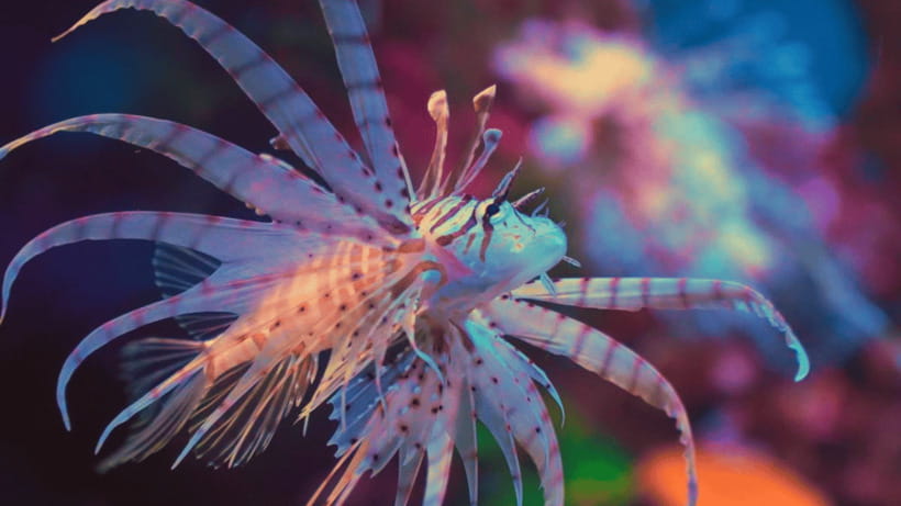 Shanghai: The Marine Wonders at Shanghai Ocean Aquarium - Why the Shanghai Ocean Aquarium day feels like more than a ticket