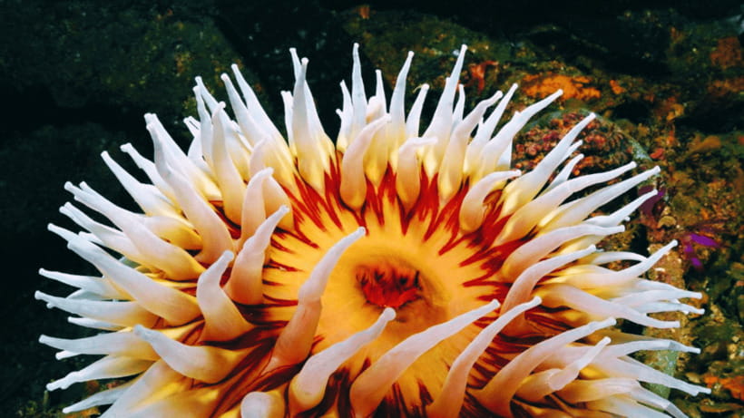 Shanghai: The Marine Wonders at Shanghai Ocean Aquarium - Themed marine zones: learning that still feels like exploring