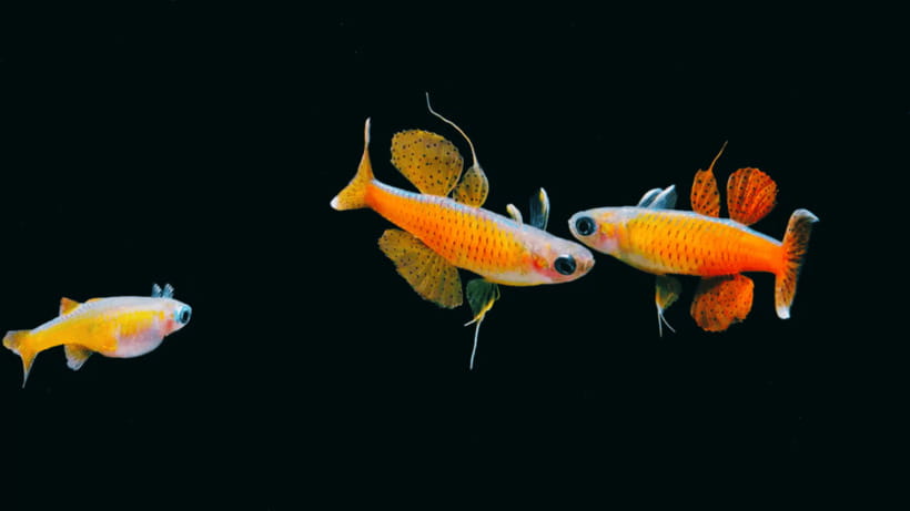 Shanghai: The Marine Wonders at Shanghai Ocean Aquarium - Interactive exhibits and ocean conservation, without the lecture tone