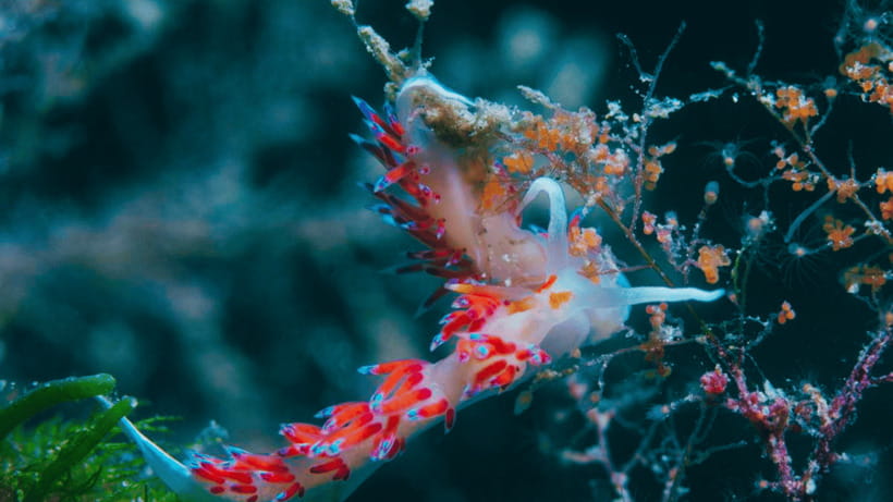 Shanghai: The Marine Wonders at Shanghai Ocean Aquarium - How live shows and indoor pacing can shape your day