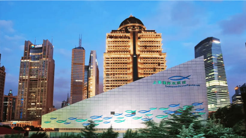 Shanghai: The Marine Wonders at Shanghai Ocean Aquarium - Entering smoothly, plus the single-use entry reality