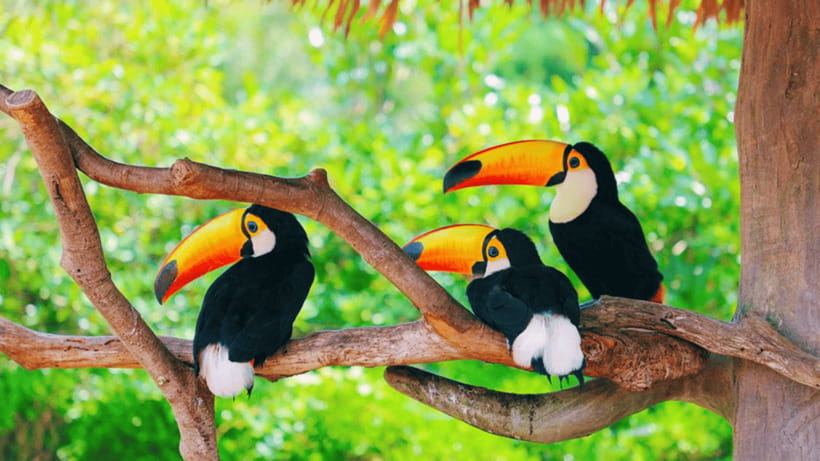 Shanghai: Wild Animal Park Ticket - The self-drive safari zone: Up close, with rules that keep it safe