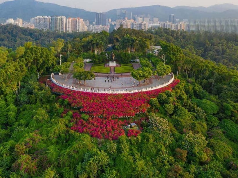 Shenzhen：8h City Walk & Future Experience Highlights Trip - Lunch and timing: you pay, the guide helps you choose