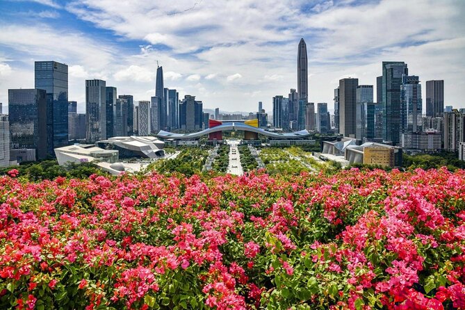 Shenzhen Private Day Tour with Car Service Tech+Culture+Shopping - Key points you will care about