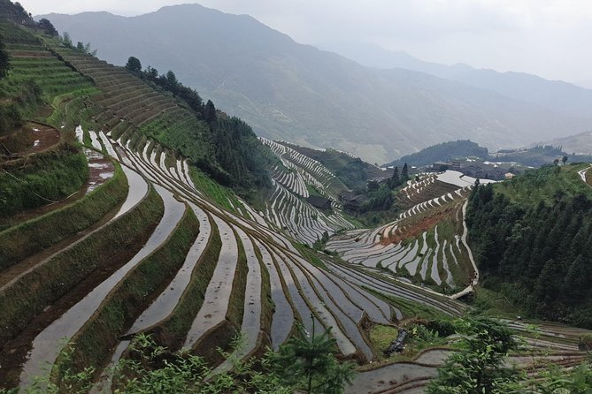 Short Li-River cruise and Longji Rice Terraces Private Day Tour - Ping’an or Dazhai: How to Choose What You’ll See