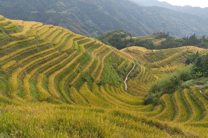 Short Li-River cruise and Longji Rice Terraces Private Day Tour - The Value of a Private English-Speaking Guide (Andy Is a Big Deal)