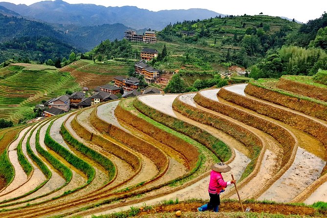 Short Li-River cruise and Longji Rice Terraces Private Day Tour - Price and What You Pay Extra For