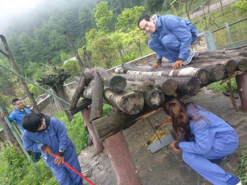 Sichuan: Big Panda Volunteer Day tour - Watching Behavior, Not Just Admiring Cuteness