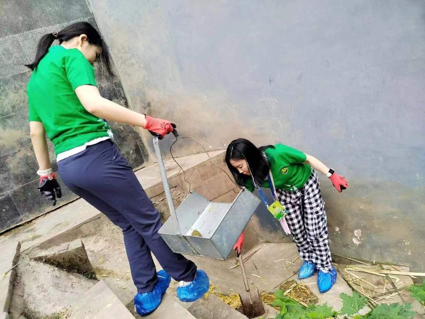 Sichuan: Big Panda Volunteer Day tour - Optional Photo Moments and Ethical Lines